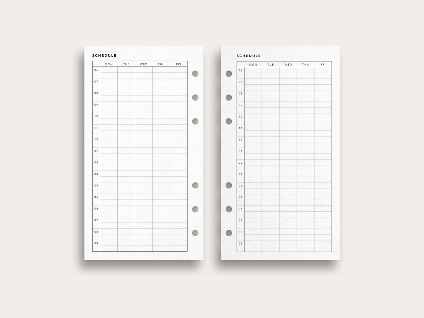 Daily Schedule